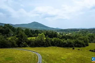 61 Hillside Ln, Afton, VA 22920 - Photo 65