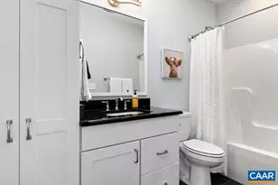 61 Hillside Ln, Afton, VA 22920 - Photo 41