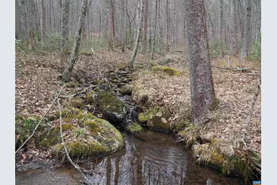 48 Acres Blackwells Hollow Rd, Crozet, VA 22932 - Photo 17