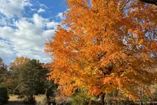 1128 Beaverdam Rd, Keswick, VA 22947 - Photo 11