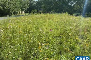 4635 Dick Woods Rd, Charlottesville, VA 22903 - Photo 59