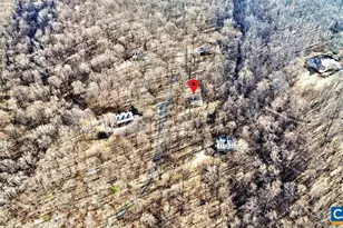 9 Dogwood Ln, Nellysford, VA 22958 - Photo 65