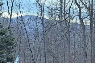 9 Dogwood Ln, Nellysford, VA 22958 - Photo 3