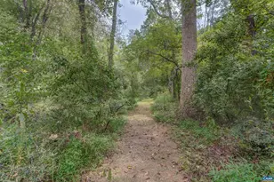 140 Lynx Farm Ln, Charlottesville, VA 22903 - Photo 67