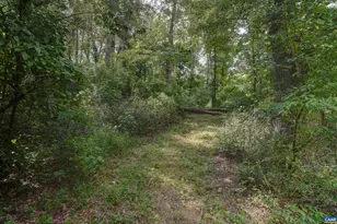 140 Lynx Farm Ln, Charlottesville, VA 22903 - Photo 69