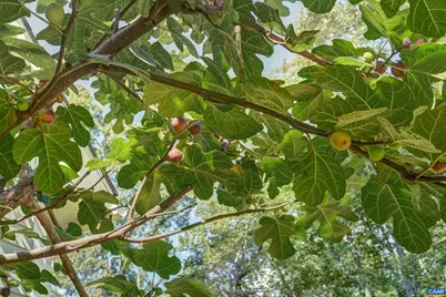 140 Lynx Farm Ln, Charlottesville, VA 22903 - Photo 63