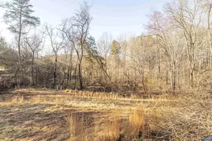 3822 Watts Passage, Charlottesville, VA 22911 - Photo 17