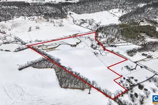 142 Mt Ida Ln, Staunton, VA 24401 - Photo 73