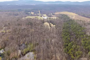 3535 Foxwood Dr, Barboursville, VA 22923 - Photo 69