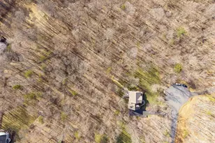 3535 Foxwood Dr, Barboursville, VA 22923 - Photo 63