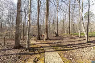 3535 Foxwood Dr, Barboursville, VA 22923 - Photo 13