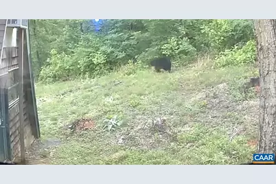 1494 Spruce Creek Ln, Nellysford, VA 22958 - Photo 27