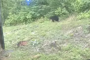 1494 Spruce Creek Ln, Nellysford, VA 22958 - Photo 27