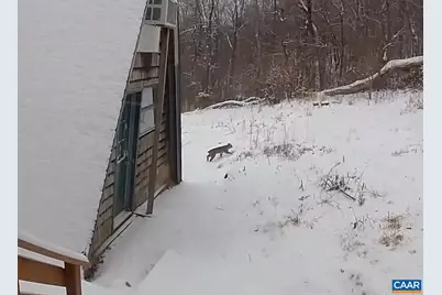 1494 Spruce Creek Ln, Nellysford, VA 22958 - Photo 31