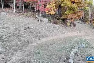 1494 Spruce Creek Ln, Nellysford, VA 22958 - Photo 35