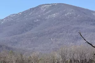 1494 Spruce Creek Ln, Nellysford, VA 22958 - Photo 5