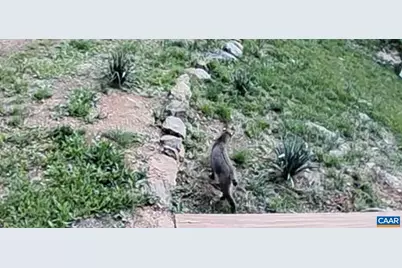 1494 Spruce Creek Ln, Nellysford, VA 22958 - Photo 33