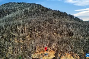 1494 Spruce Creek Ln, Nellysford, VA 22958 - Photo 7