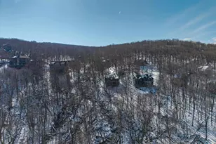 131 Crawfords Edge, Wintergreen, VA 22967 - Photo 69