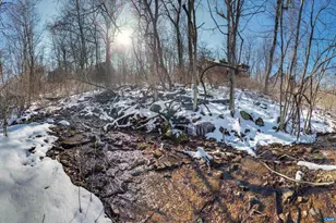 131 Crawfords Edge, Wintergreen, VA 22967 - Photo 71