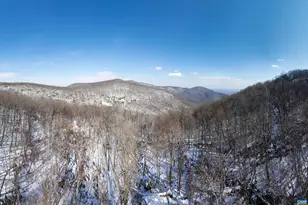 131 Crawfords Edge, Wintergreen, VA 22967 - Photo 67