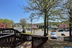 943 Rives St, Charlottesville, VA 22902 - Photo 19