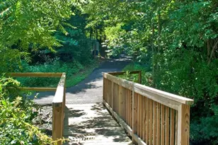 530 Pebble Hill Ct, Charlottesville, VA 22903 - Photo 35