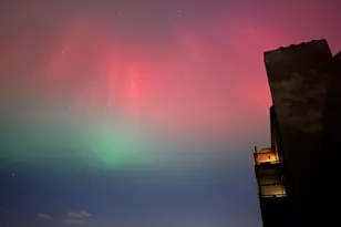 1551 Vistas Condos, Roseland, VA 22967 - Photo 19