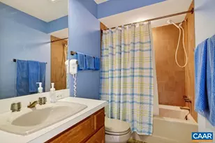 1551 Vistas Condos, Roseland, VA 22967 - Photo 15