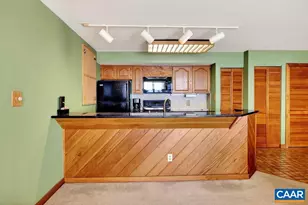 1551 Vistas Condos, Roseland, VA 22967 - Photo 3