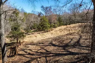 13259 Stonehouse Mountain Rd, Culpeper, VA 22701 - Photo 29