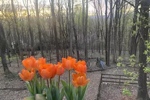 1880 N Pantops Dr, Charlottesville, VA 22911 - Photo 19