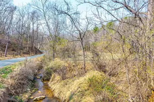 Puppy Creek Rd, Amherst, VA 24521 - Photo 1