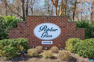 508 Tulip Tree Ct, Charlottesville, VA 22903 - Photo 35