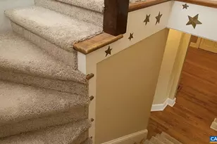 1419 Cherry Ave, Charlottesville, VA 22903 - Photo 15