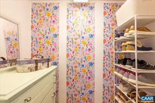 1196 Allen Farm Ln, Earlysville, VA 22936 - Photo 39