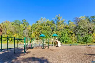 820 Fieldhaven Dr, Charlottesville, VA 22903 - Photo 53