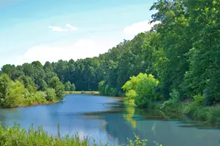 820 Fieldhaven Dr, Charlottesville, VA 22903 - Photo 49