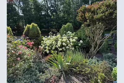 3206 Poplar Ridge Rd, Charlottesville, VA 22911 - Photo 27