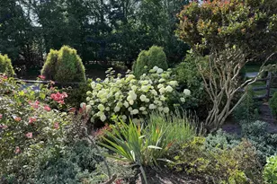 3206 Poplar Ridge Rd, Charlottesville, VA 22911 - Photo 27