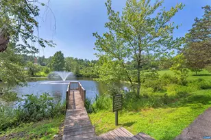 4175 Redwood Ln, Earlysville, VA 22936 - Photo 49