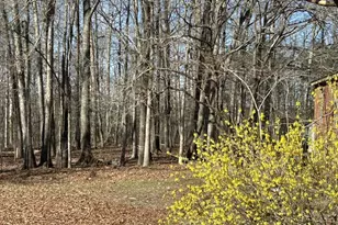 7714 Blenheim Rd, Scottsville, VA 24590 - Photo 39