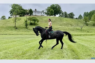 1859 Rivanna Farm, Charlottesville, VA 22911 - Photo 41