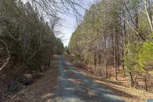 2508 Thomas Jefferson Pkwy, Charlottesville, VA 22902 - Photo 53