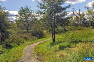 314 Avondale Ln, Crozet, VA 22932 - Photo 55