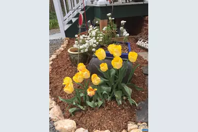 5864 Wyant Ln, Charlottesville, VA 22903 - Photo 47