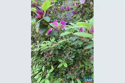 317 Poplar Glen Ct, Charlottesville, VA 22903 - Photo 29