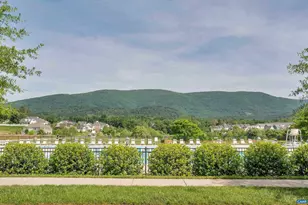 2010 Larkin Ln, Crozet, VA 22932 - Photo 29