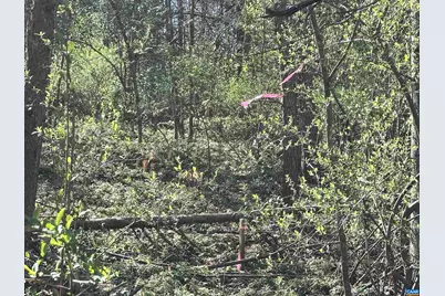 00 Indian Trace Trl #12, Unionville, VA 22567 - Photo 9