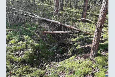 00 Indian Trace Trl #12, Unionville, VA 22567 - Photo 11